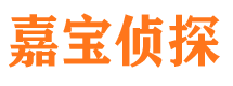 东海侦探公司